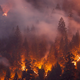 Drought+Heat=Hell